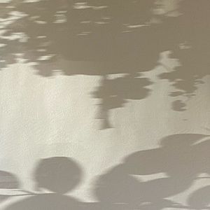 Meet your Posher, Pardis